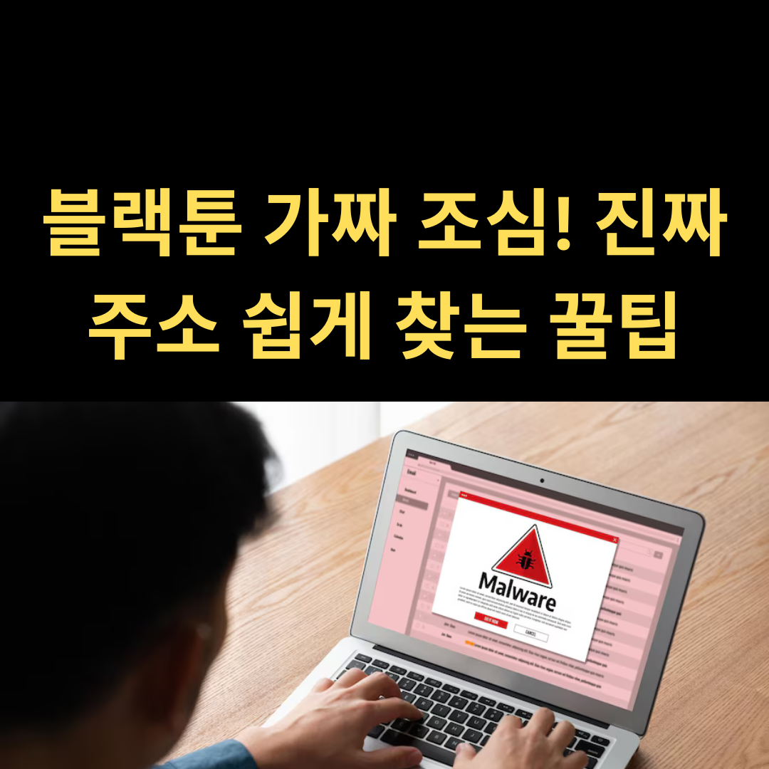 블랙툰 가짜 조심! 진짜 주소 쉽게 찾는 꿀팁